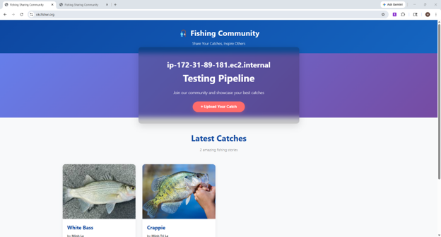 Preview of the Fish Sharing web application